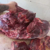 خورده گوشت گوساله
