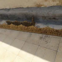 کتیبه پرده آماده نصب