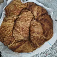تنباکو بنیاد پلنگی