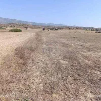 زمین زیر بام نهاوند