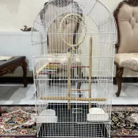 قفس بزرگ سالم با لوازم کامل