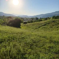 فروش-ملک-به-متراژ-527-متر-در-بره-سر