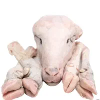 کله پاچه پاک میکنم