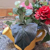 ۶عدد گل|گل و گیاه طبیعی|شهریار, شهرک وائین|دیوار