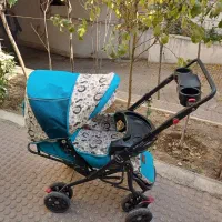 کالسکه تمیز  دلیجان