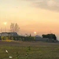 جذب کارگر مرغداری
