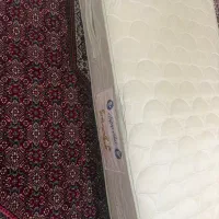 تشک نوجوان رویا