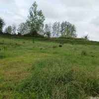 زمین مسکونی و باغی