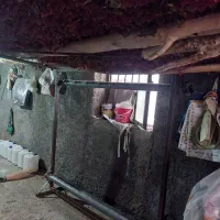 دار قالی|ماشینآلات صنعتی|بیرجند, |دیوار