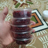 طعم نخل درجه یک