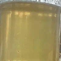 عسل بهار نارنج