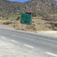 ۱۱قصب زمین دلفارد گربه