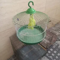 قفس گرد قفس سقا و لونه بزرگ قیمت مناسب