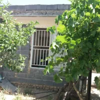 باغ|فروش دفتر صنعتی، کشاورزی، تجاری|مشهد, میان ولایت|دیوار