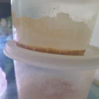 کالچر میکروورم(غذای زنده انواع نوزاد ماهی)