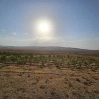 15-هکتار-زمین-زراعی-بوئین-زهرا