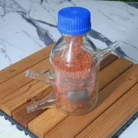 ریجنت باتل