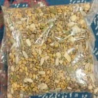 آجیل سلامت مغزیجات
