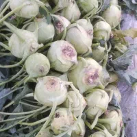 کلم سر|خوردنی و آشامیدنی|فیروزآباد (فارس), |دیوار