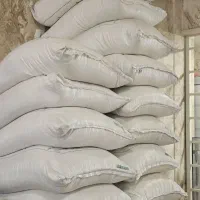 فروش شکر یکجا ۵۰۰ کیلو