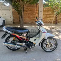 ویو عروسک زمرد کویر پلاک ملی