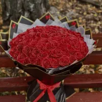 گُــل رُز