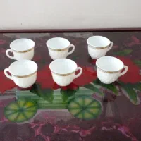 فنجان ارکوپال نو