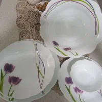 سرویس ۳۰ نفره ارکوپال
