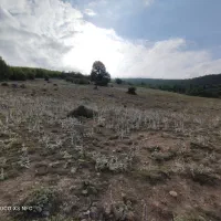 فروش زمین ۸۰۰۰ متری با ویوی فوق‌العاده جنگل و کوه