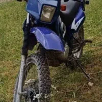 تریل سرحال و تمیز
