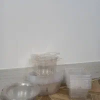 ظرف پلاستیکی