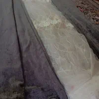 پرده سلطنتی
