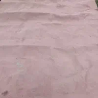 موکت سالم