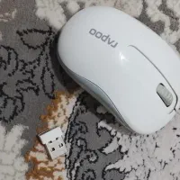 موس موشی