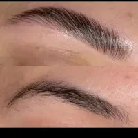 موج گیاهی آلیفتموج گیاهی آلیفت مجه انجام