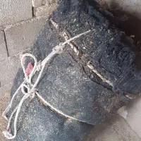 سیاه چادر