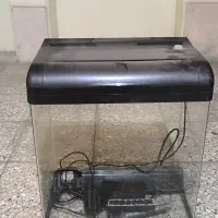 آکواریوم در حد نو