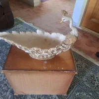 طاووس تزئینی ومیوه خوری