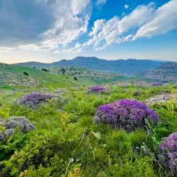 چنل پادکست‌های زیست شناسی