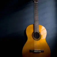 آموزش گیتار ( کلاسیک - فلامنکو )