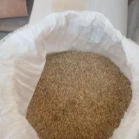 جو۵۰|لوازم جانبی حیوانات|شوشتر, |دیوار