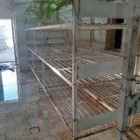 قفسه