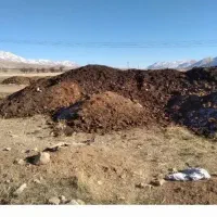 کود حیوانی
