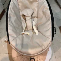 گهواره برقی آمریکایی