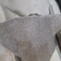 پلاز موکت