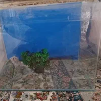 آکواریم ۵۰ در ۶۰ شیشه خم
