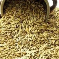 جو فروشی فوری