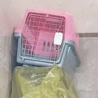 باکس و پارک سگ