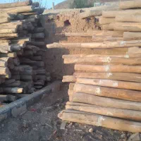 فروش و خرید تیر و درخت