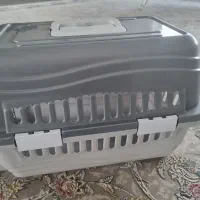 باکس گربه